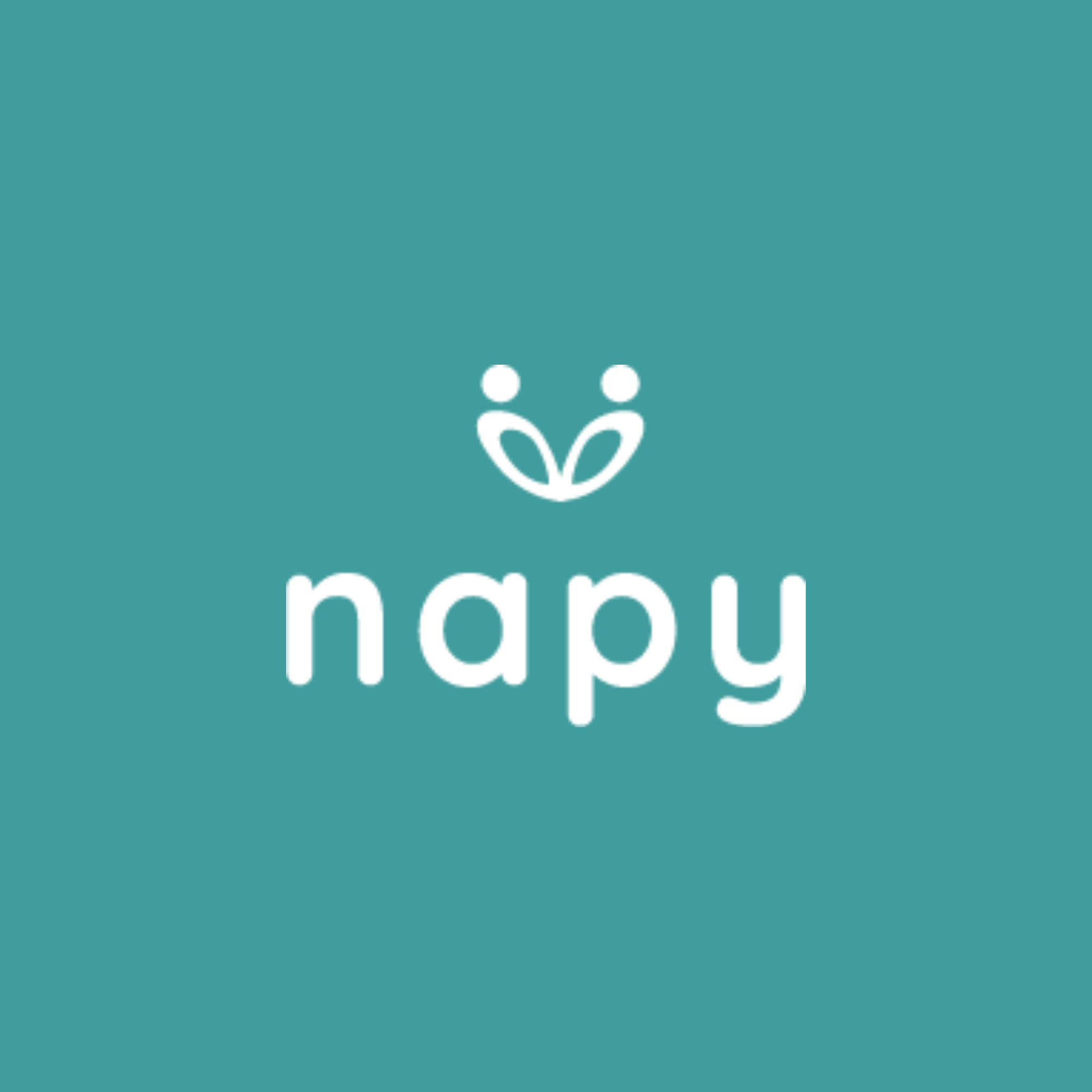Logo NAPY